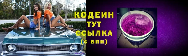 прущие грибы Алзамай