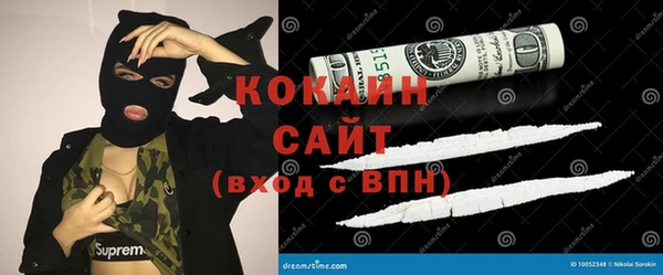 шишки Алексин