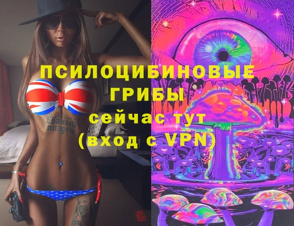 прущие грибы Алзамай