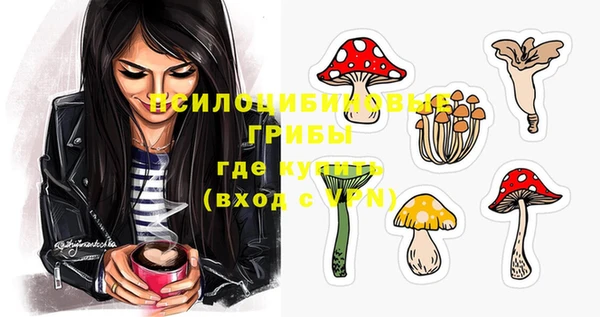 шишки Алексин