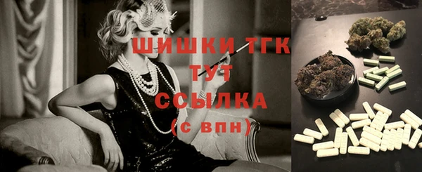 шишки Алексин