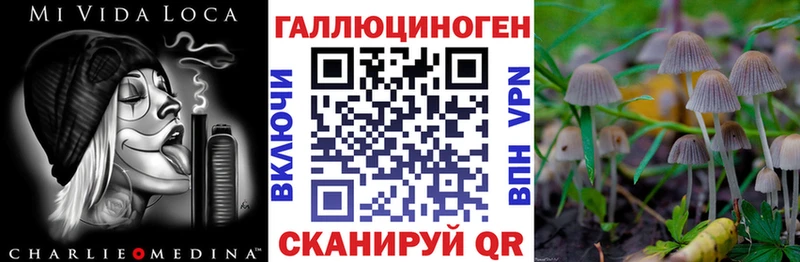 Галлюциногенные грибы мицелий Купить где Нижнеудинск